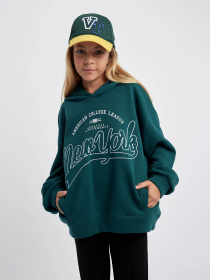 Худі DeFacto модель A6157A8-GN1116 Фото