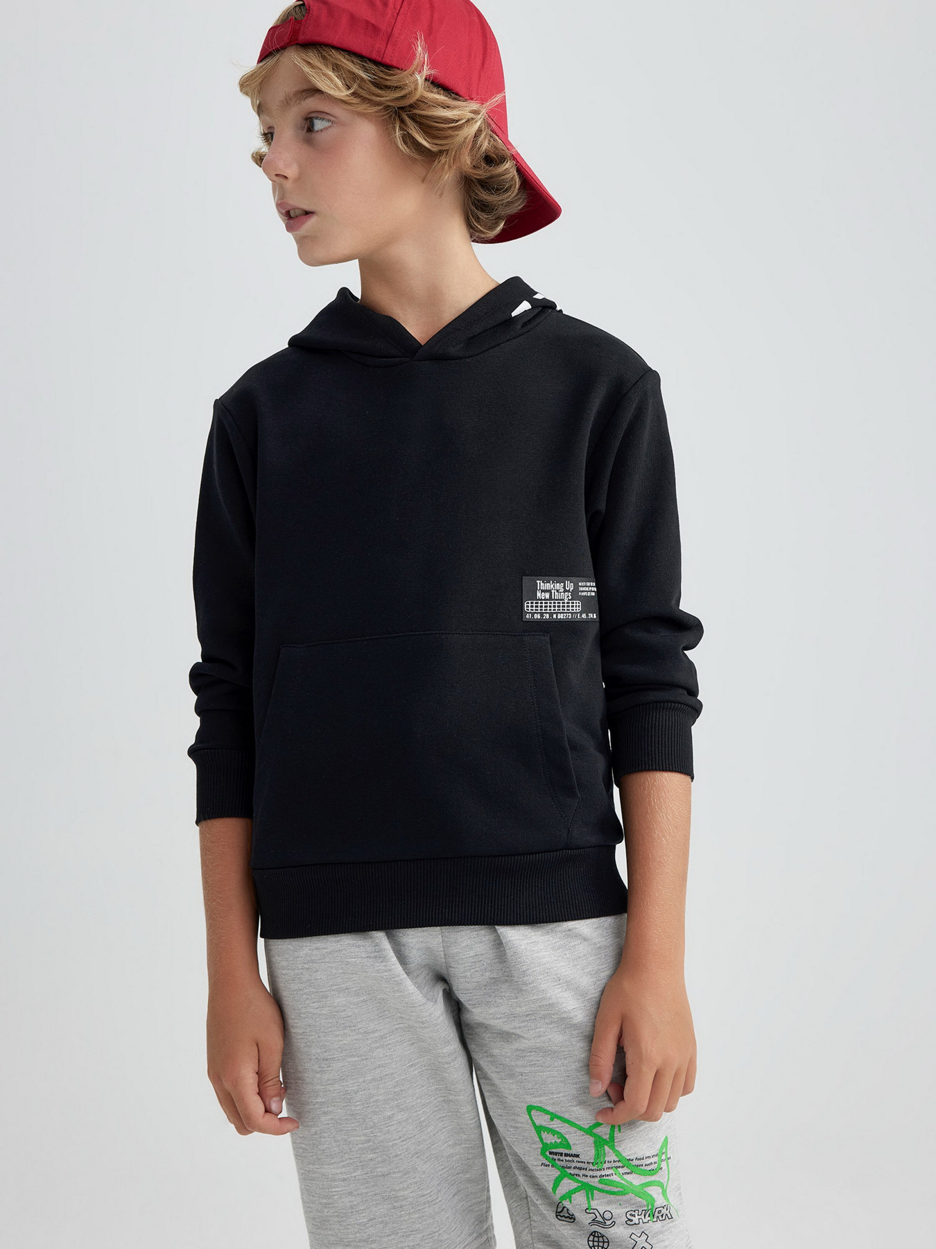 Худі DeFacto модель A6584A8-BK81 Фото