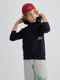 Худі DeFacto модель A6584A8-BK81 Фото