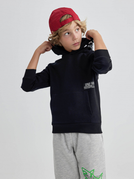 Худи DeFacto модель A6584A8-BK81 Фото