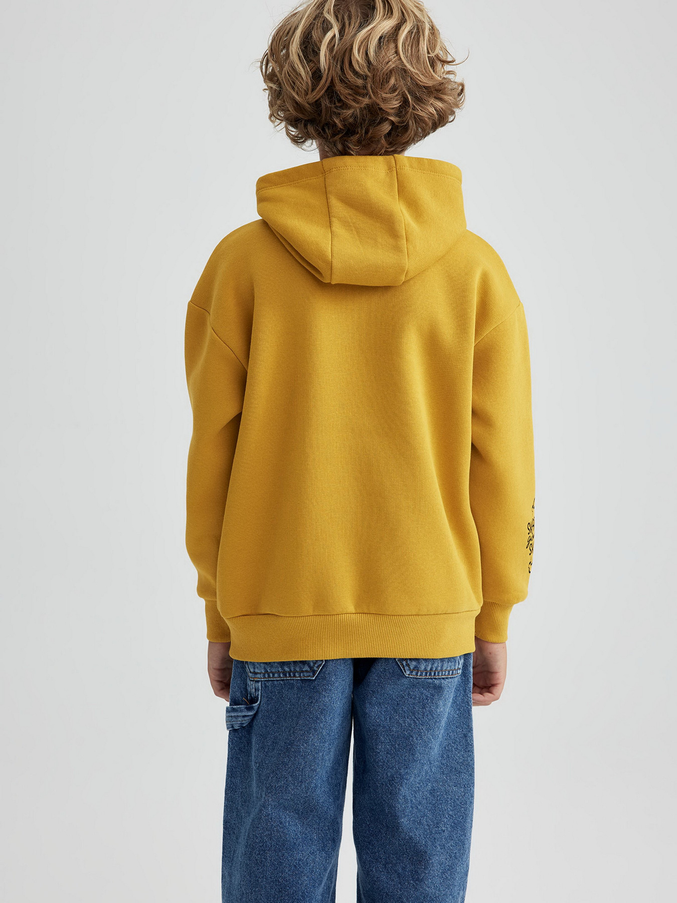 Худі DeFacto модель A7279A8-YL311 Фото