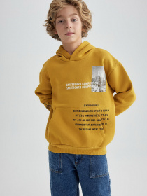 Худи DeFacto модель A7279A8-YL311 Фото