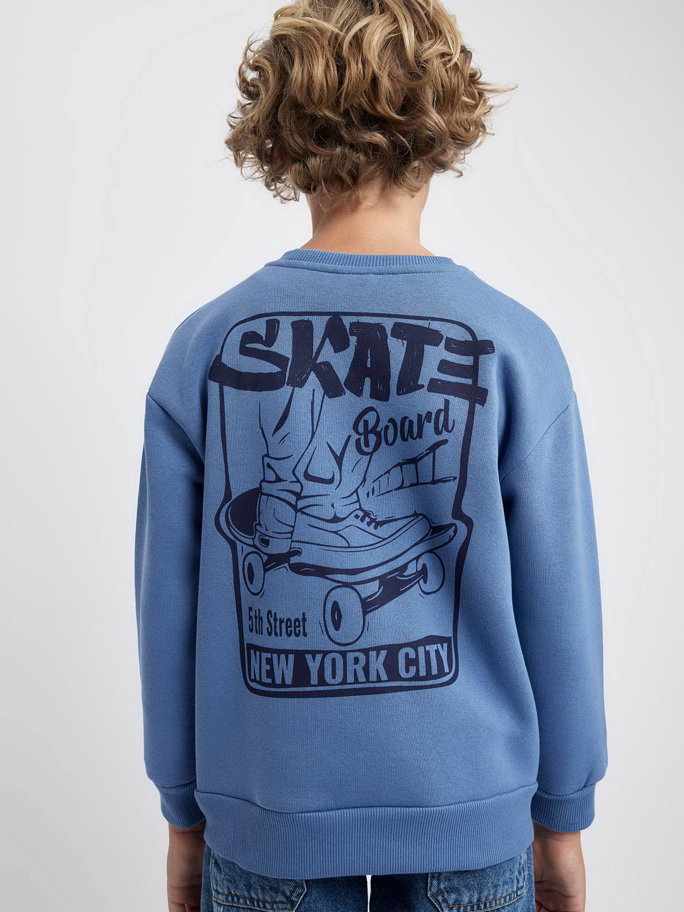 Свитшот DeFacto модель A7280A8-IN34 Фото