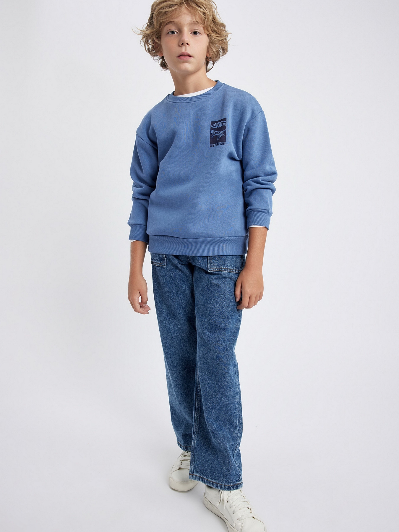 Свитшот DeFacto модель A7280A8-IN34 Фото