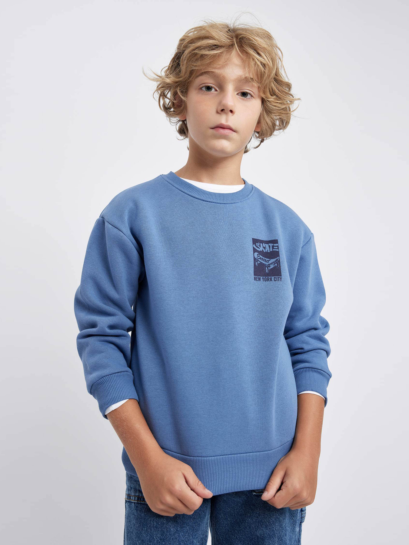 Свитшот DeFacto модель A7280A8-IN34 Фото