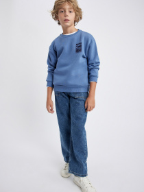 Свитшот DeFacto модель A7280A8-IN34 Фото