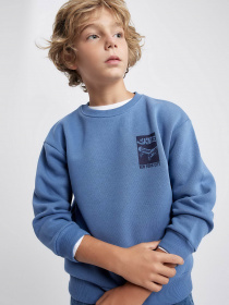 Свитшот DeFacto модель A7280A8-IN34 Фото