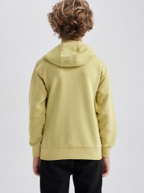 Худи DeFacto модель A8597A8-KH446 Фото