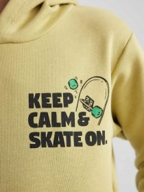 Худи DeFacto модель A8597A8-KH446 Фото