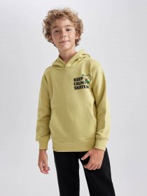 Худи DeFacto модель A8597A8-KH446 Фото