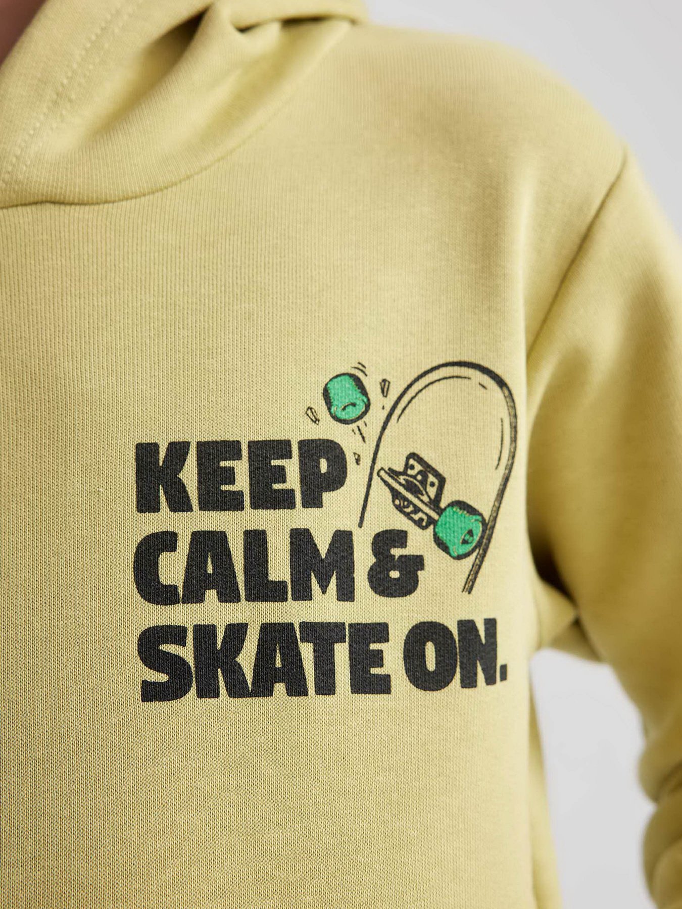 Худи DeFacto модель A8597A8-KH446 Фото