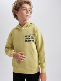 Худи DeFacto модель A8597A8-KH446 Фото