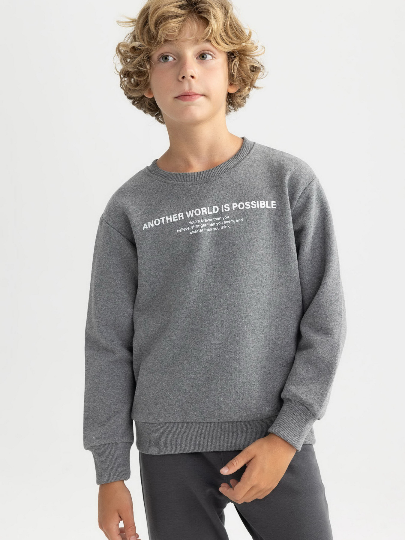 Свитшот DeFacto модель A9776A8-AR163 Фото