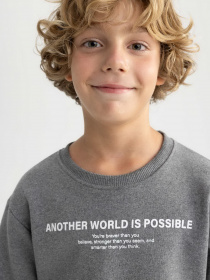 Свитшот DeFacto модель A9776A8-AR163 Фото