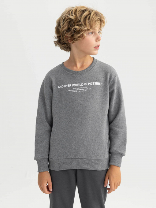 Свитшот DeFacto модель A9776A8-AR163 Фото