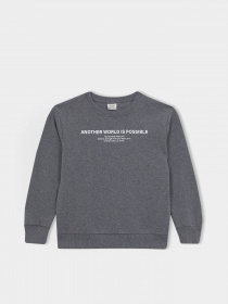 Свитшот DeFacto модель A9776A8-AR163 Фото