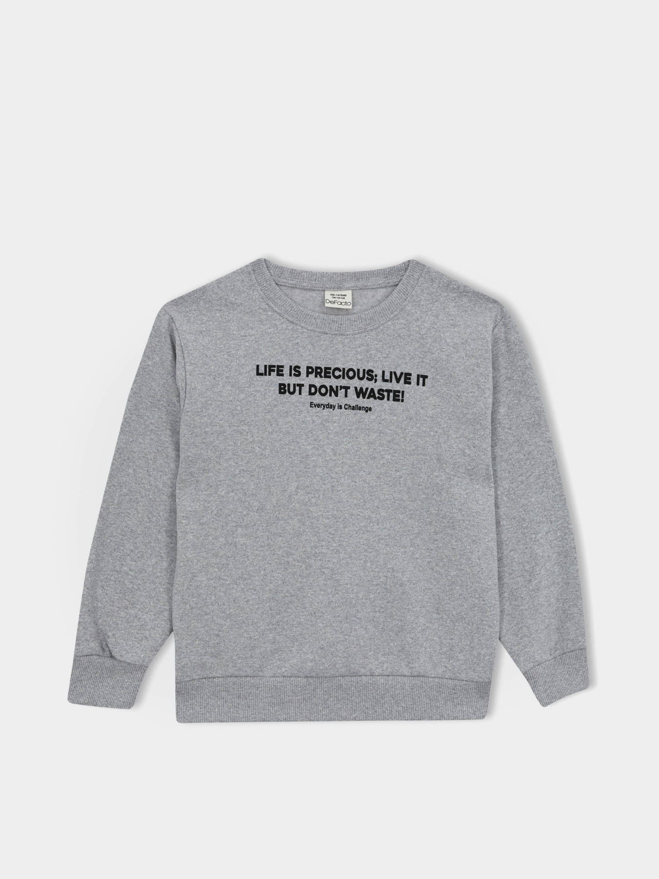 Свитшот DeFacto модель A9776A8-GR377 Фото