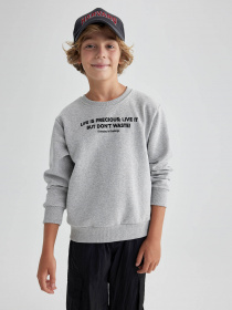 Свитшот DeFacto модель A9776A8-GR377 Фото