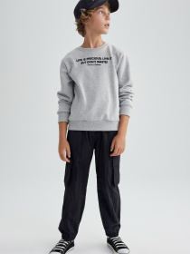 Свитшот DeFacto модель A9776A8-GR377 Фото