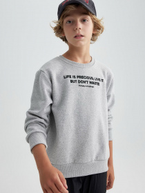 Свитшот DeFacto модель A9776A8-GR377 Фото