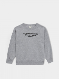 Свитшот DeFacto модель A9776A8-GR377 Фото