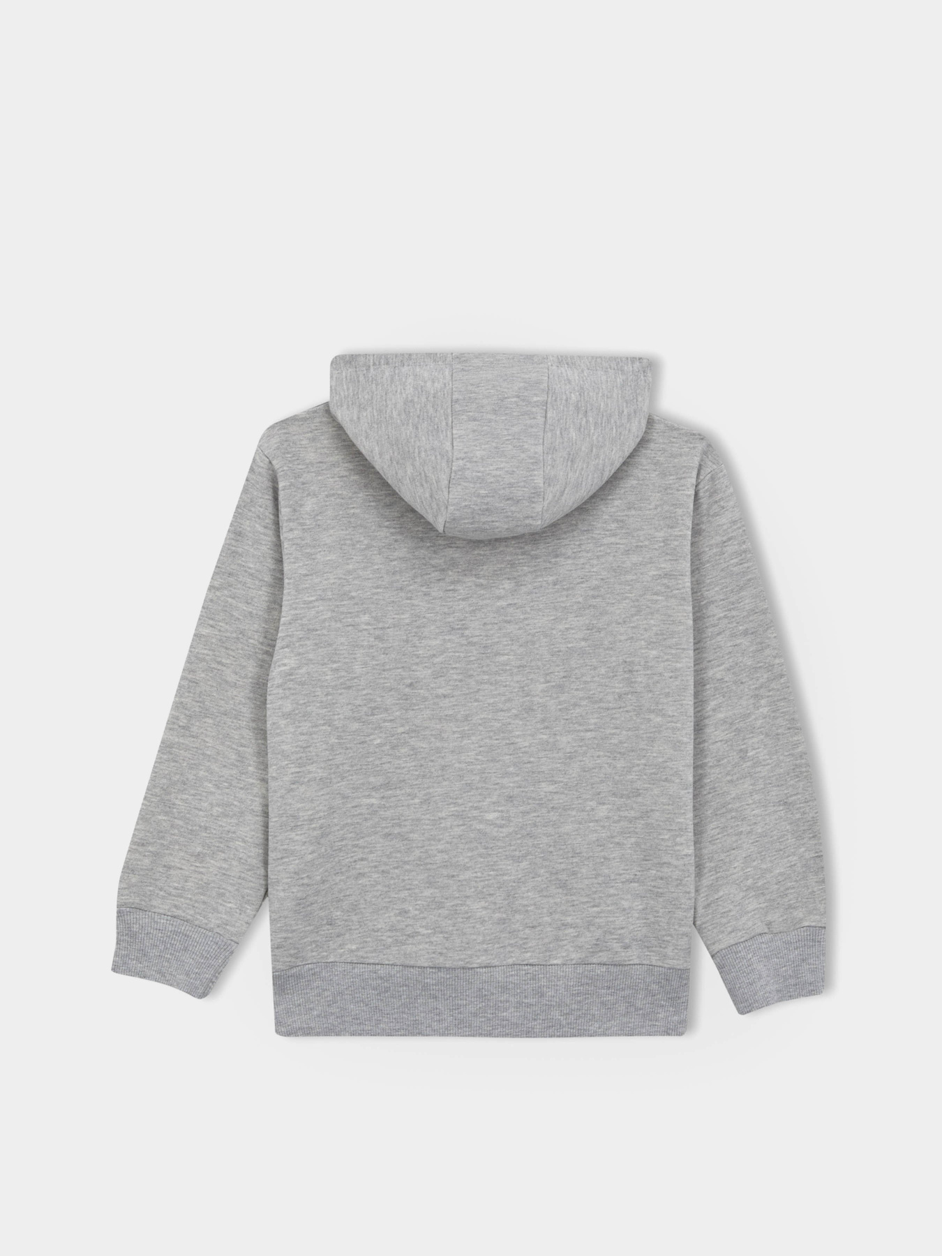 Худі DeFacto модель B2054A8-GR210 Фото