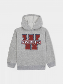 Худі DeFacto модель B2054A8-GR210 Фото