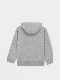 Худі DeFacto модель B2054A8-GR210 Фото