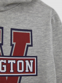 Худі DeFacto модель B2054A8-GR210 Фото