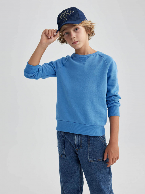 Свитшот DeFacto модель B2385A8-BE765 Фото