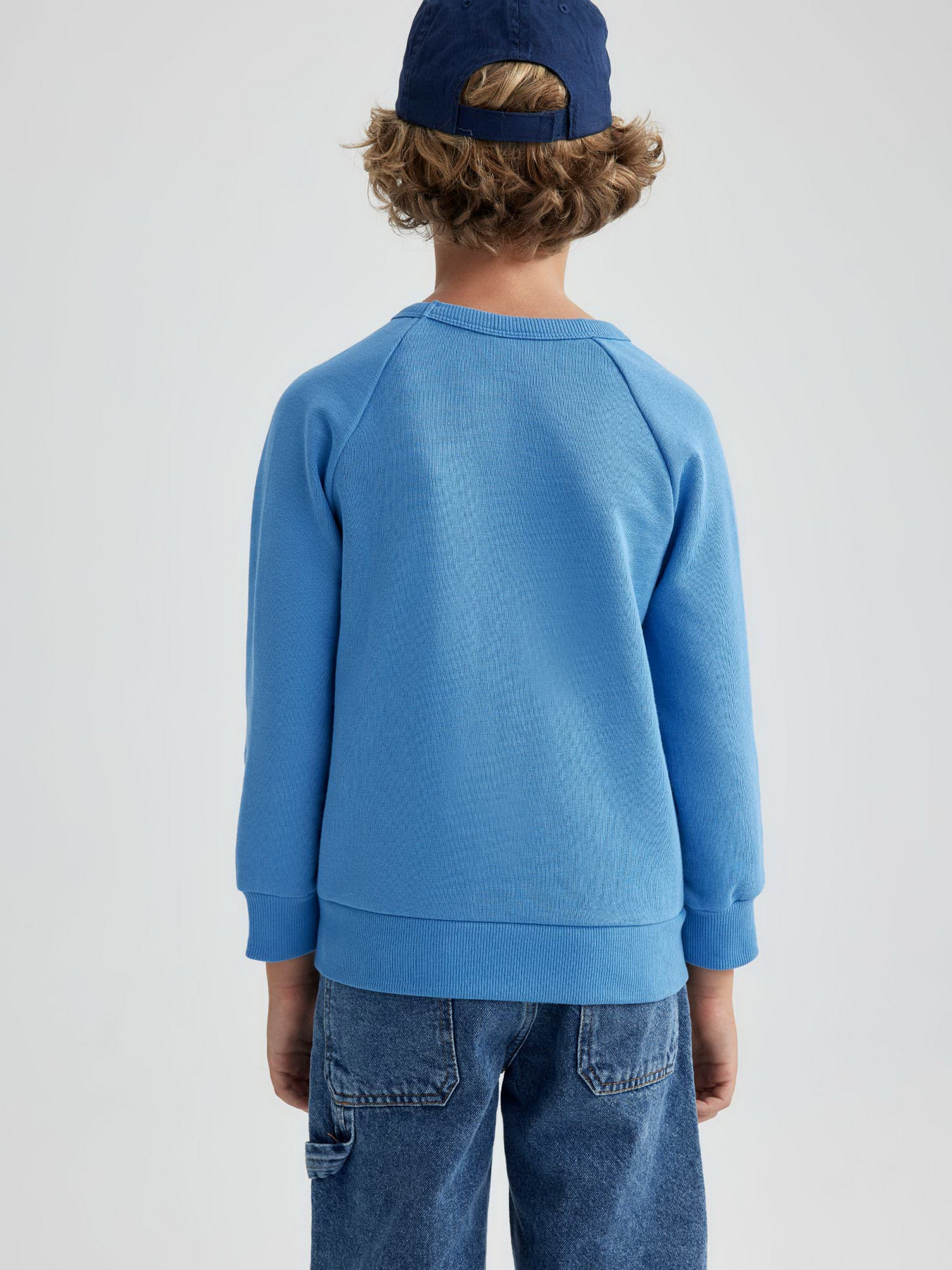 Свитшот DeFacto модель B2385A8-BE765 Фото