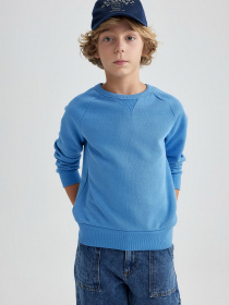 Свитшот DeFacto модель B2385A8-BE765 Фото