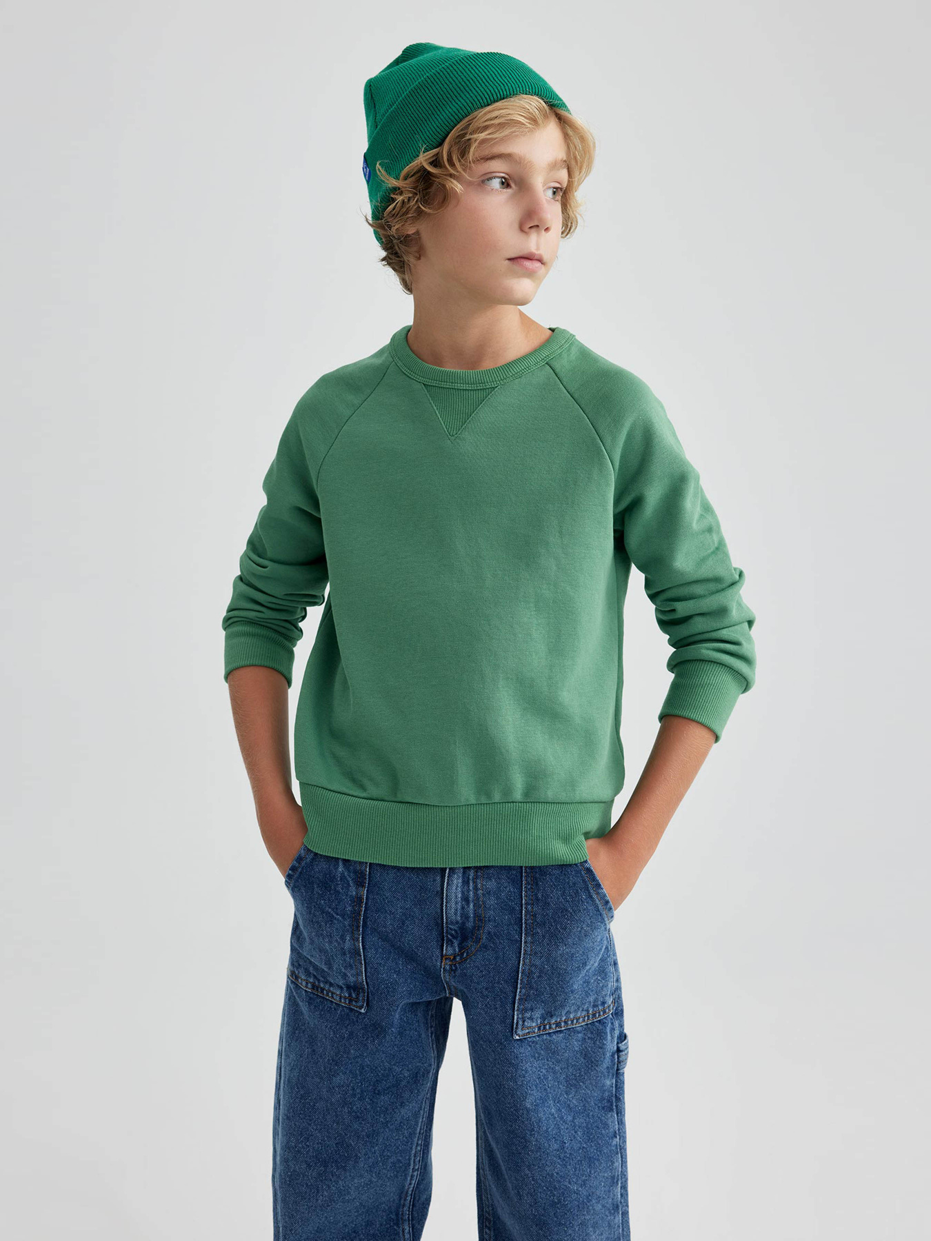 Свитшот DeFacto модель B2385A8-GN100 Фото