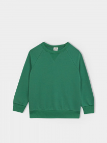 Свитшот DeFacto модель B2385A8-GN100 Фото