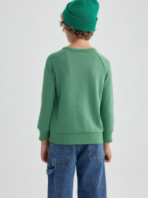 Свитшот DeFacto модель B2385A8-GN100 Фото