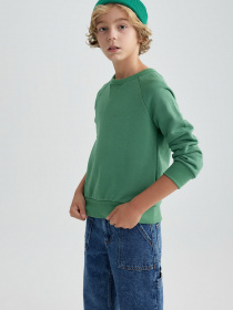 Свитшот DeFacto модель B2385A8-GN100 Фото