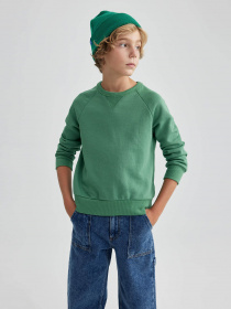 Свитшот DeFacto модель B2385A8-GN100 Фото