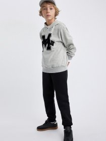 Худі DeFacto модель B3096A8-GR210 Фото