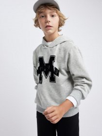 Худі DeFacto модель B3096A8-GR210 Фото