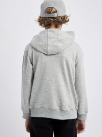 Худі DeFacto модель B3096A8-GR210 Худі DeFacto модель B3096A8-GR210 Фото