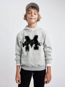 Худі DeFacto модель B3096A8-GR210 Худі DeFacto модель B3096A8-GR210 Фото