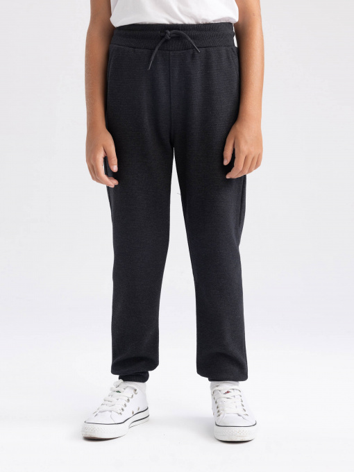 Джоггеры DeFacto модель R5970A6-AR163 Фото