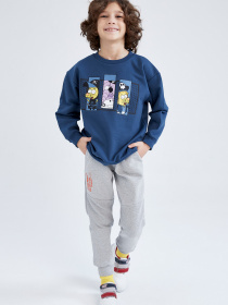 Джоггеры DeFacto модель S1856A6-GR210 Фото