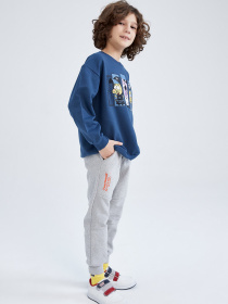 Джогери DeFacto модель S1856A6-GR210 Фото