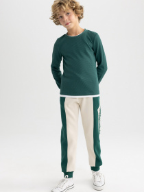 Лонгслив DeFacto модель V1186A6-GN671 Фото