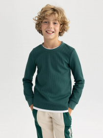 Лонгслив DeFacto модель V1186A6-GN671 Фото