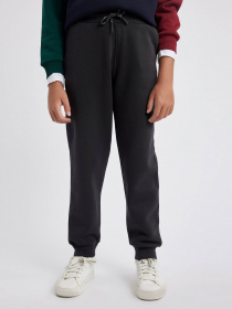 Джогери DeFacto модель W0773A6-AR210 Фото