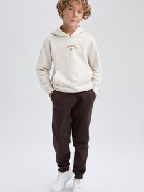 Джогери DeFacto модель W0773A6-BN340 Фото