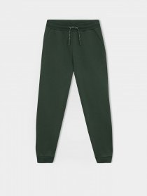 Джоггеры DeFacto модель W0773A6-GN900 Фото