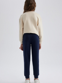 Джогери DeFacto модель Y1226A6-NV251 Фото